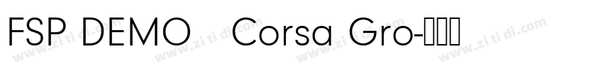 FSP DEMO   Corsa Gro字体转换